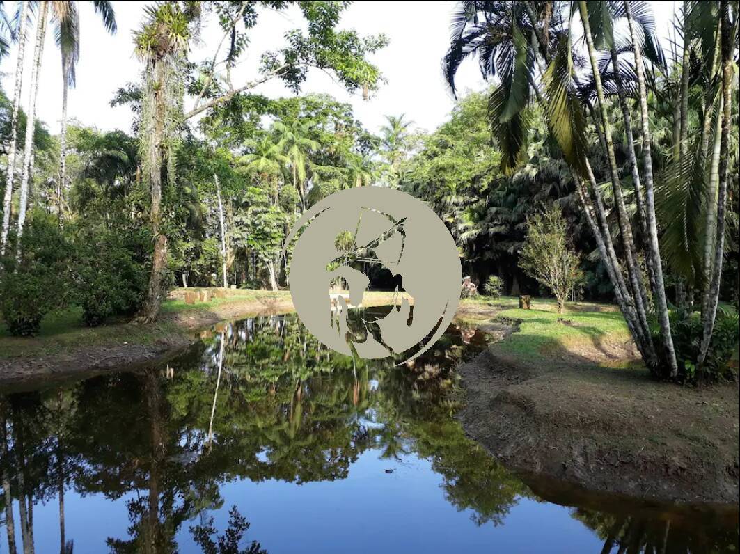 Sítio, 10 quartos, 28 m² - Foto 1