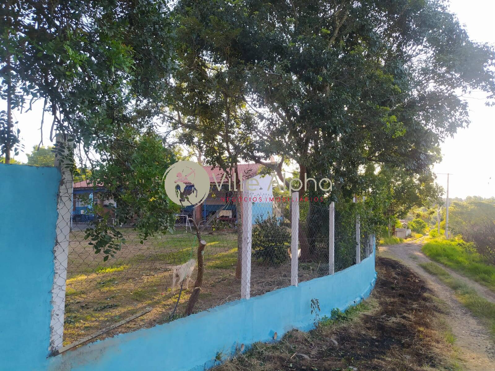 Chácara, 4 quartos, 2000 m² - Foto 5