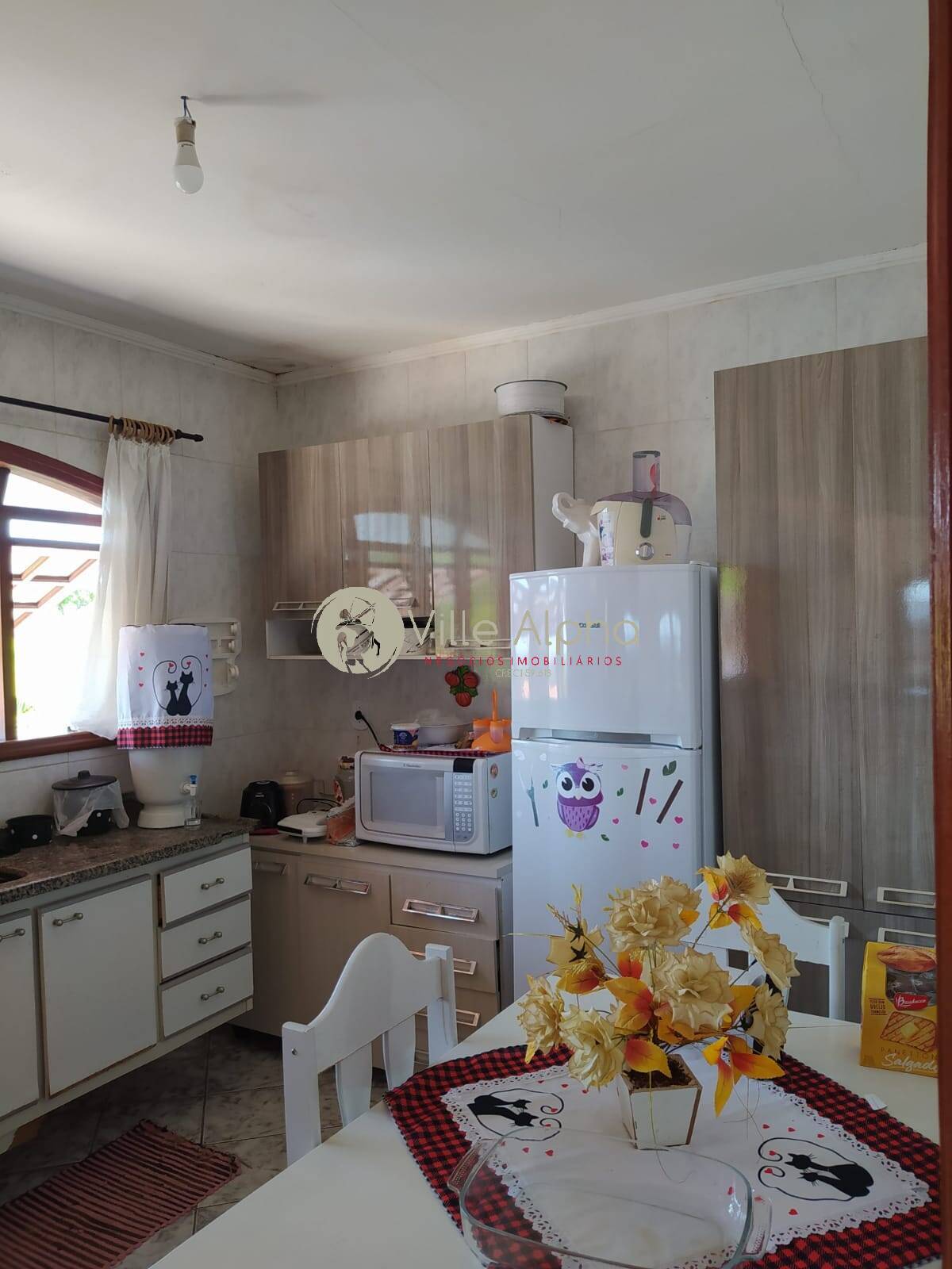 Chácara, 4 quartos, 2000 m² - Foto 13