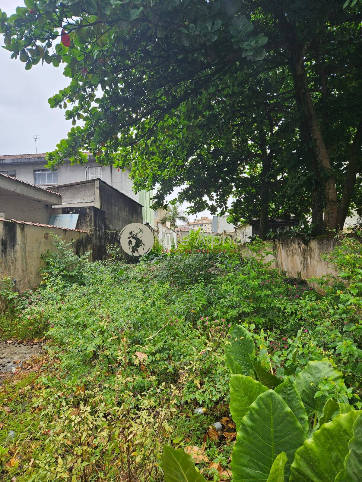 Terreno, 900 m² - Foto 8