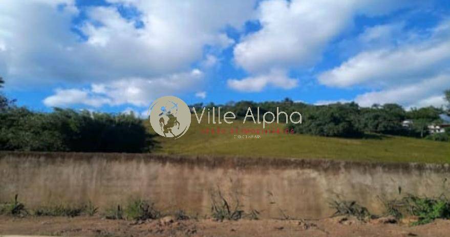 Terreno, 8 hectares - Foto 10