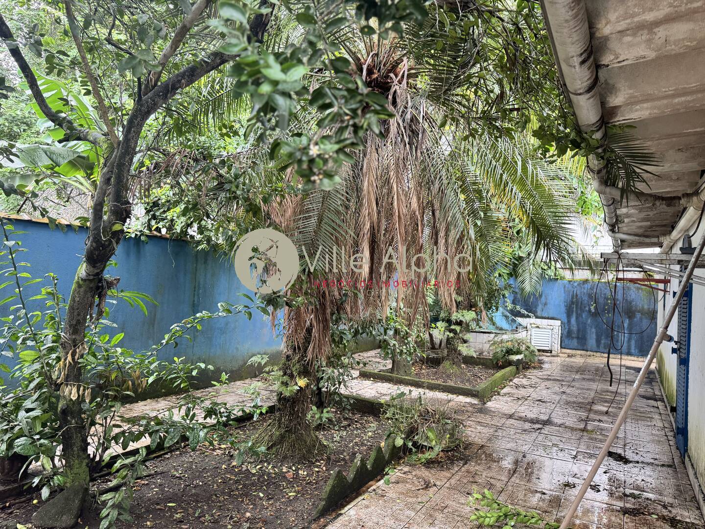 Casa à venda com 4 quartos, 300m² - Foto 7