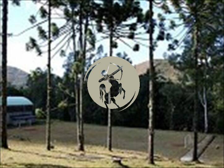 Prédio Inteiro, 4000 m² - Foto 7