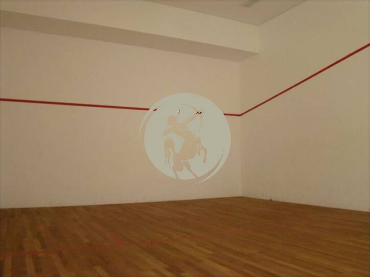 Cobertura, 4 quartos, 450 m² - Foto 27