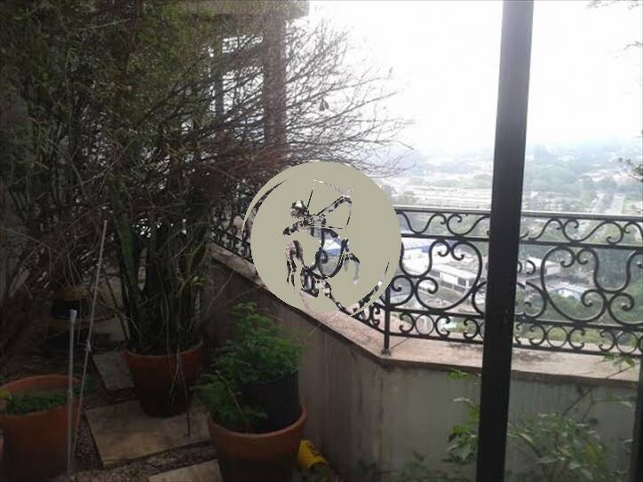 Cobertura, 5 quartos, 768 m² - Foto 9