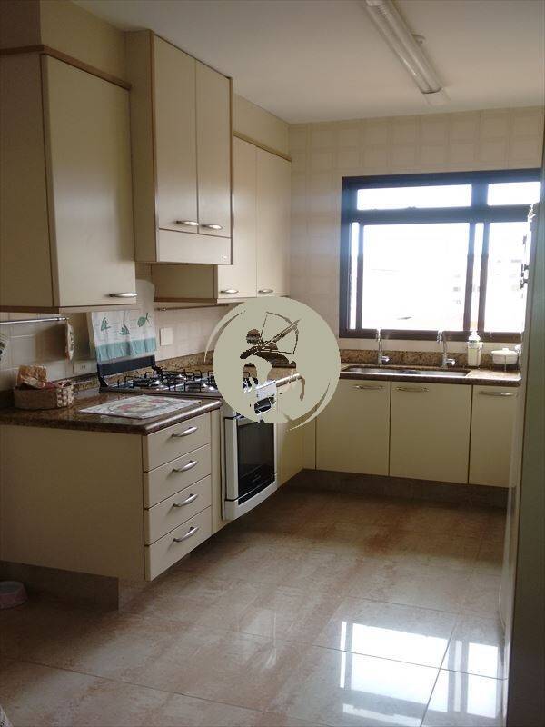 Cobertura, 4 quartos, 317 m² - Foto 9