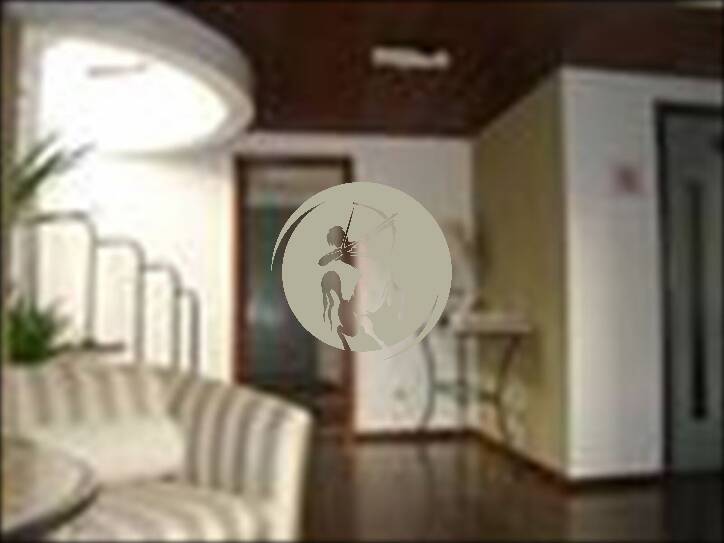 Apartamento, 4 quartos, 239 m² - Foto 4