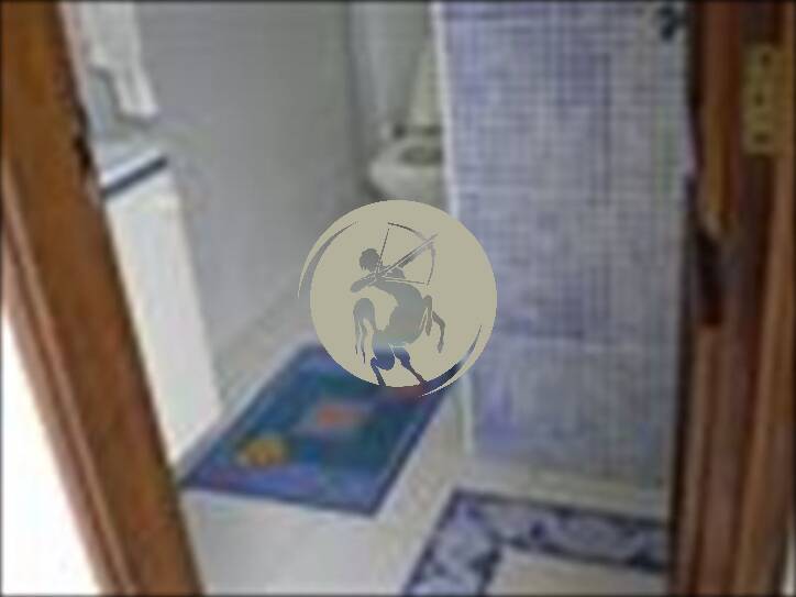 Casa, 4 quartos, 900 m² - Foto 6