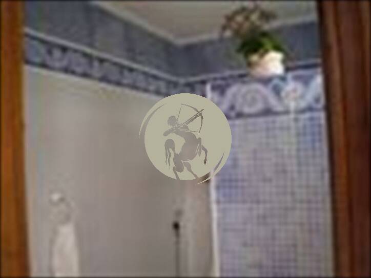 Casa, 4 quartos, 900 m² - Foto 7