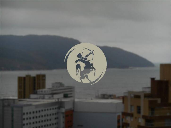 Cobertura, 4 quartos, 350 m² - Foto 14