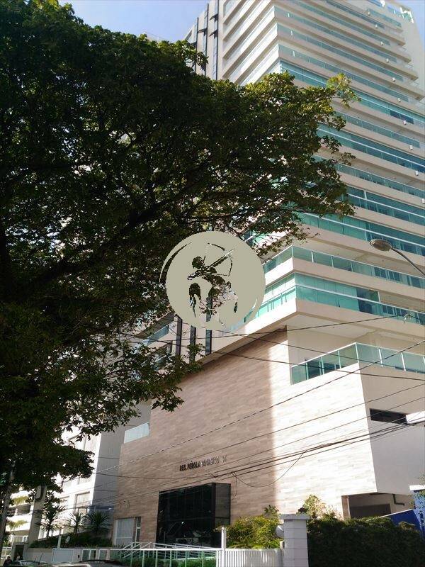 Cobertura, 3 quartos, 239 m² - Foto 31