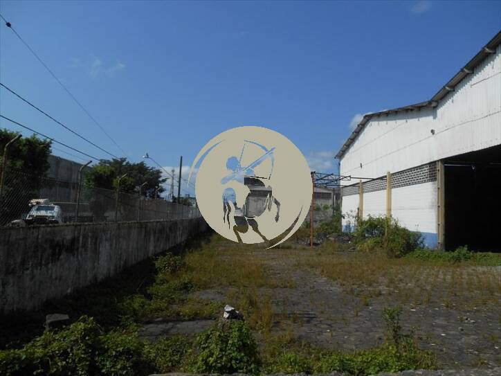 Depósito-Galpão, 3000 m² - Foto 5