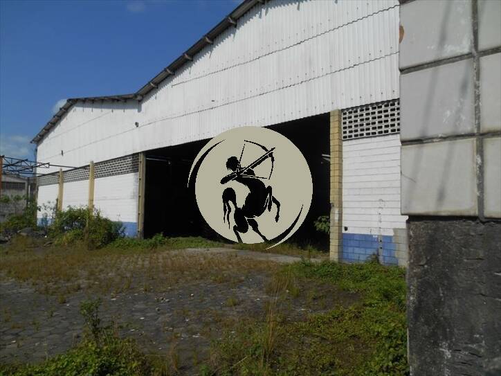 Depósito-Galpão, 3000 m² - Foto 6