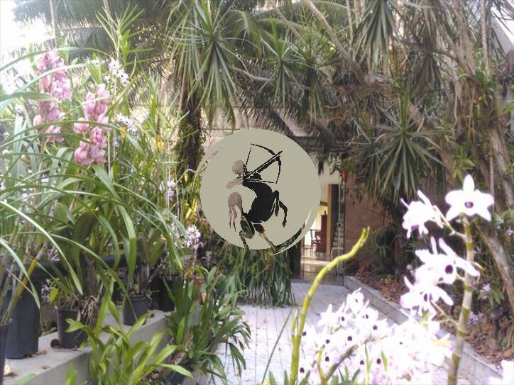 Casa, 5 quartos, 1100 m² - Foto 78