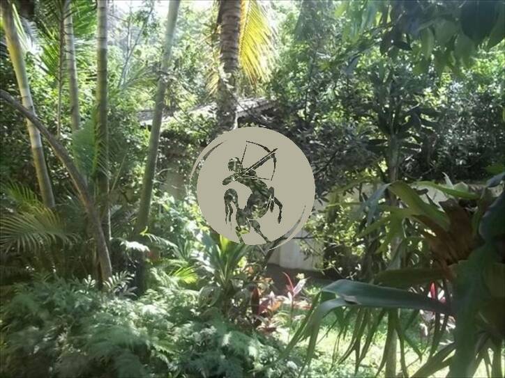 Casa, 4 quartos, 500 m² - Foto 6