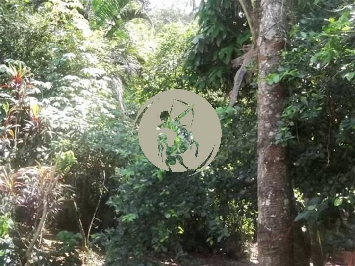 Casa, 4 quartos, 500 m² - Foto 24