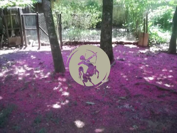 Casa, 4 quartos, 500 m² - Foto 25