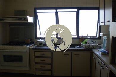 Cobertura, 4 quartos, 484 m² - Foto 19