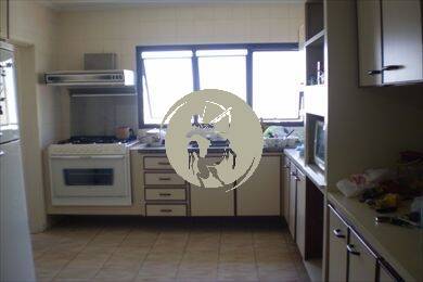 Cobertura, 4 quartos, 484 m² - Foto 20