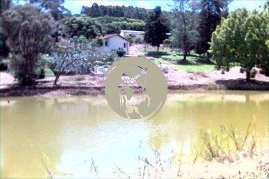 Terreno à venda, 1000m² - Foto 15