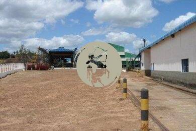 Depósito-Galpão - Foto 2