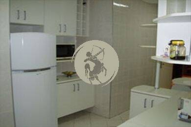 Cobertura, 4 quartos, 250 m² - Foto 8