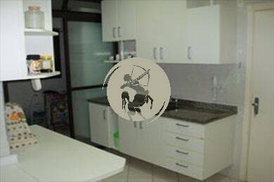 Cobertura, 4 quartos, 250 m² - Foto 9