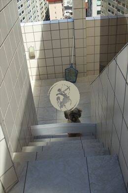 Cobertura, 4 quartos, 250 m² - Foto 20