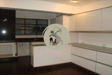 Cobertura, 4 quartos, 280 m² - Foto 8