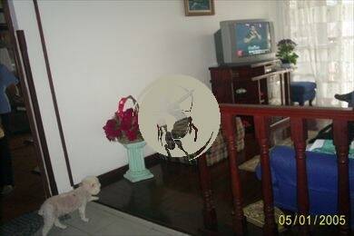 Apartamento, 2 quartos, 290 m² - Foto 8