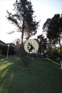 Casa, 3 quartos, 480 m² - Foto 4