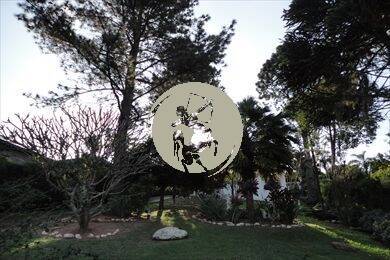 Casa, 3 quartos, 480 m² - Foto 5