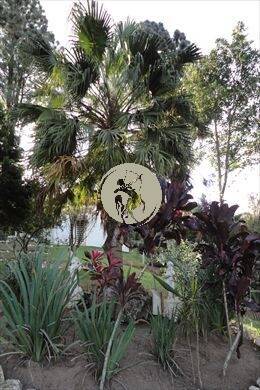 Casa, 3 quartos, 480 m² - Foto 9