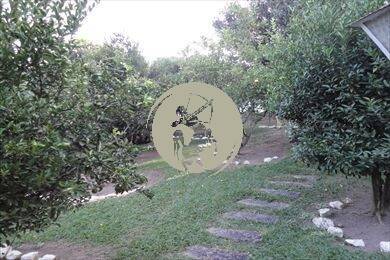 Casa, 3 quartos, 480 m² - Foto 55