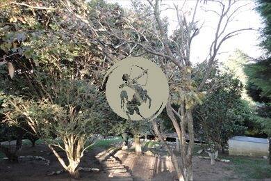 Casa, 3 quartos, 480 m² - Foto 57