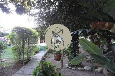 Casa, 3 quartos, 480 m² - Foto 60