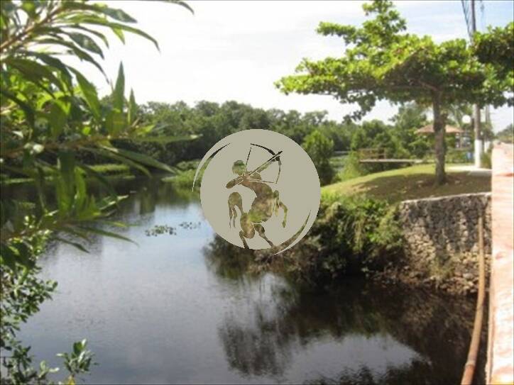 Casa, 7 quartos, 518 m² - Foto 5