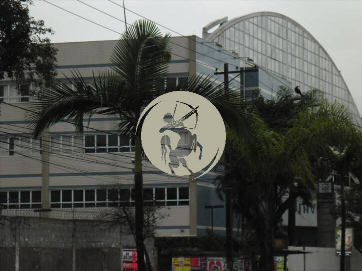 Terreno, 800 m² - Foto 13