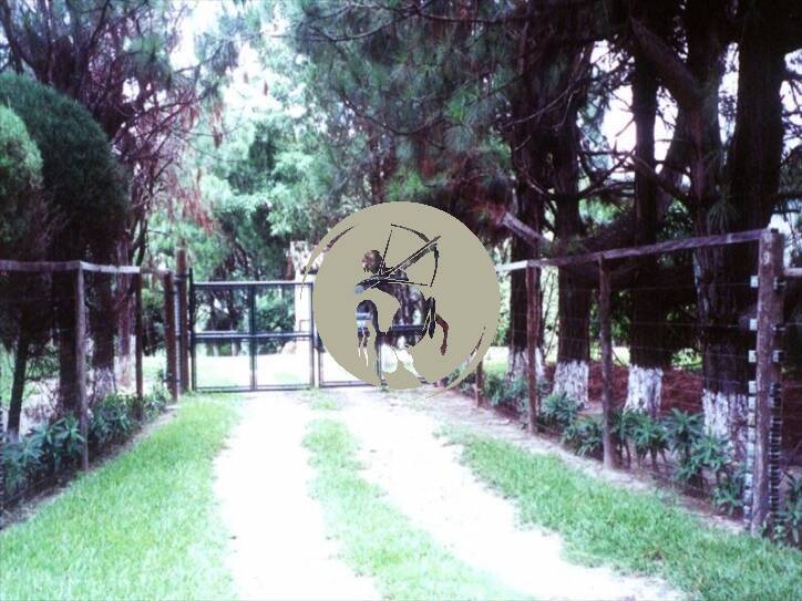 Terreno, 15 hectares - Foto 11