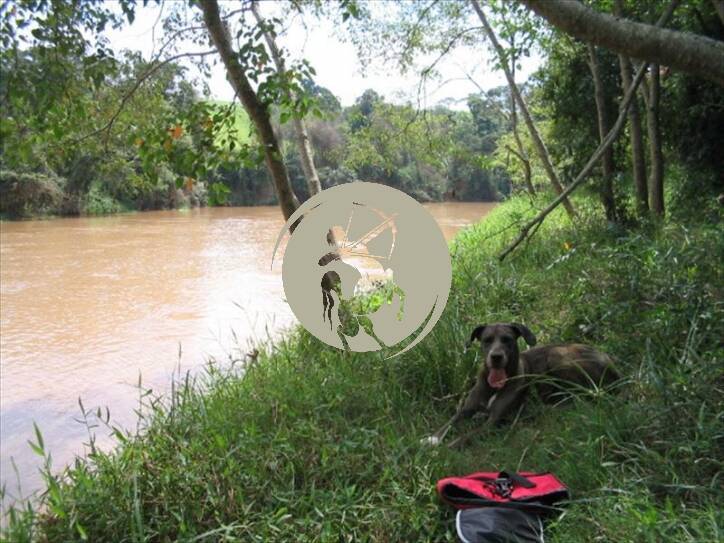 Terreno, 5 hectares - Foto 1