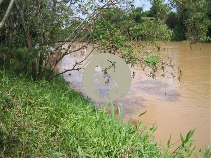 Terreno, 5 hectares - Foto 2