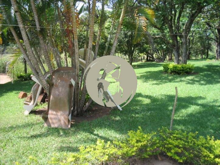 Terreno, 5 hectares - Foto 5