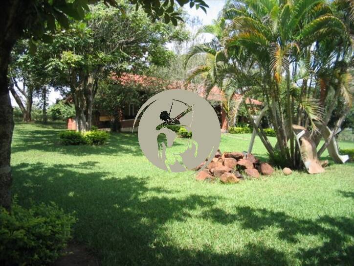 Terreno, 5 hectares - Foto 10