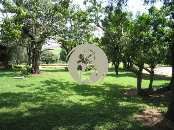 Terreno, 5 hectares - Foto 12