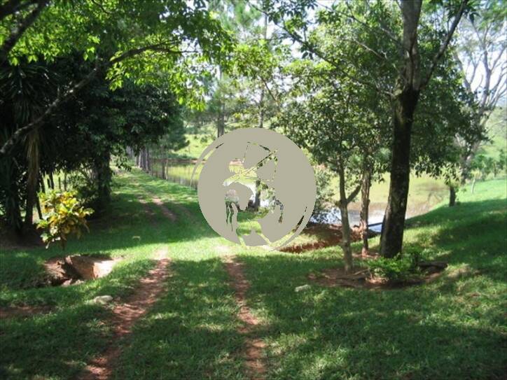 Terreno, 5 hectares - Foto 13