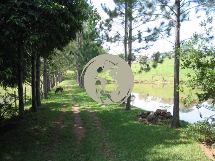 Terreno, 5 hectares - Foto 14