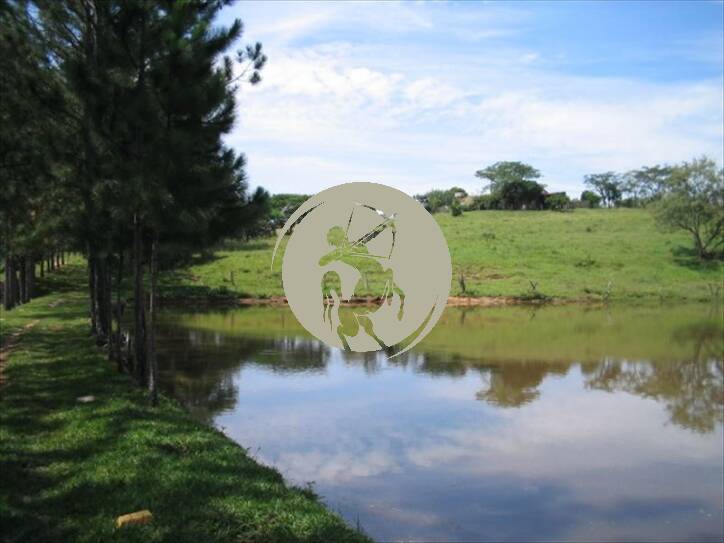 Terreno, 5 hectares - Foto 15