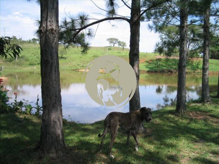 Terreno, 5 hectares - Foto 17