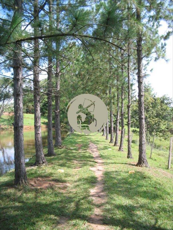 Terreno, 5 hectares - Foto 18