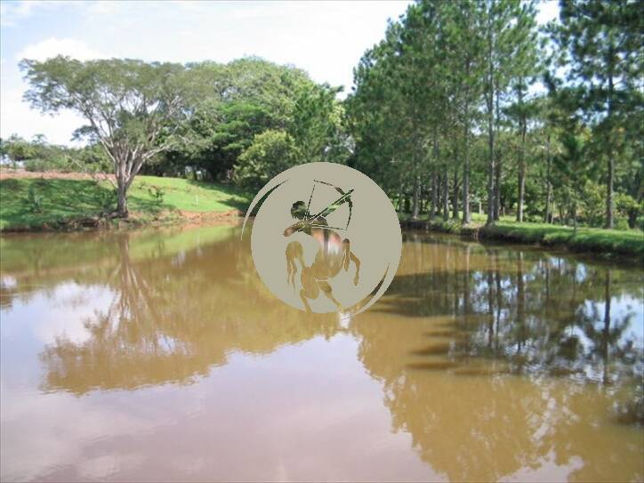 Terreno, 5 hectares - Foto 19